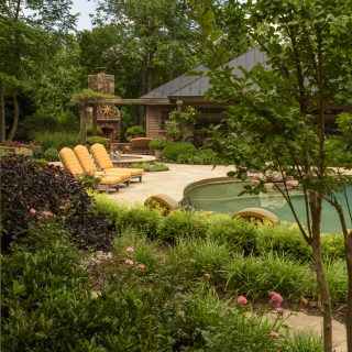 Backyard oasis